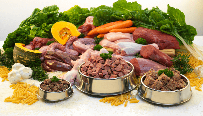 Imagem com vários alimentos naturais e três comedouros com alimento já preparado, fazendo referência ao negócio de comida natural para o mercado pet.