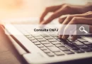 Simulando consultar CNPJ online.