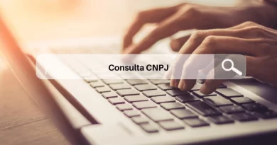 Simulando consultar CNPJ online.