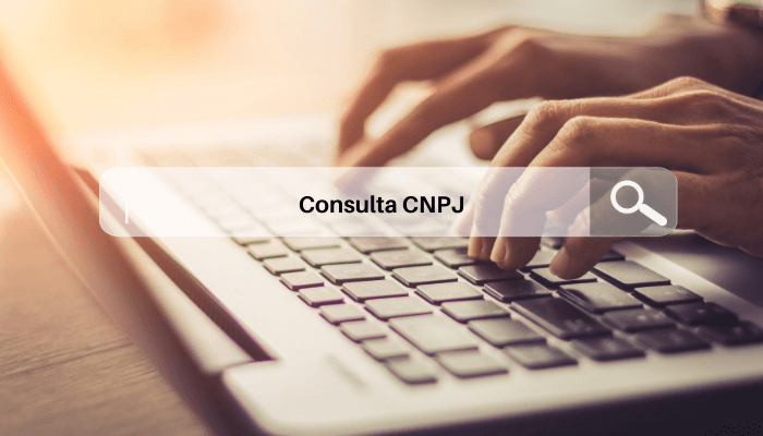 Simulando consultar CNPJ online.